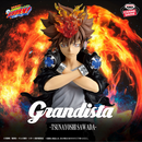 Katekyo Hitman REBORN! Figurine Grandista Tsunayoshi Sawada