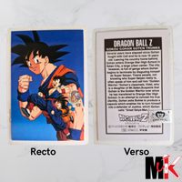 Dragon Ball - Carte Rami - 0794G C état très bon