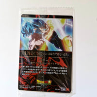 Dragon Ball - Carte Itajaga Part 07 - 25 SR