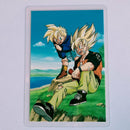 Dragon Ball - Carte Rami - 0793G B