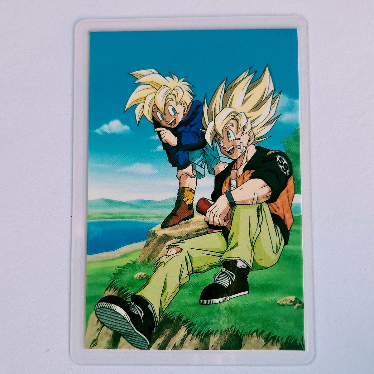 Dragon Ball - Carte Rami - 0793G B