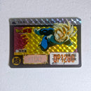 Dragon Ball Carte Carddass Part 13 - 511