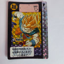 Dragon Ball Carte Carddass Part 08 - 294