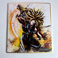 Dragon Ball - Shikishi Art Raging Part 01 - 11