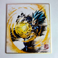 Dragon Ball - Shikishi Art Raging Part 01 - 08